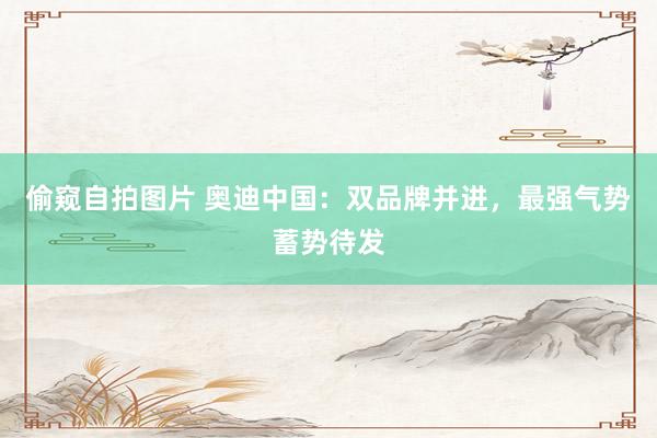 偷窥自拍图片 奥迪中国：双品牌并进，最强气势蓄势待发