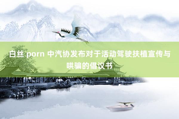 白丝 porn 中汽协发布对于活动驾驶扶植宣传与哄骗的倡议书