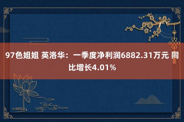 97色姐姐 英洛华：一季度净利润6882.31万元 同比增长4.01%