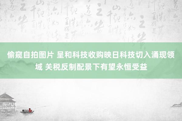 偷窥自拍图片 呈和科技收购映日科技切入涌现领域 关税反制配景下有望永恒受益