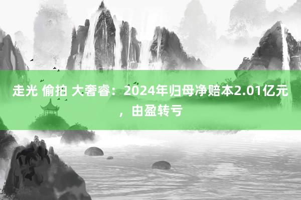 走光 偷拍 大奢睿：2024年归母净赔本2.01亿元，由盈转亏