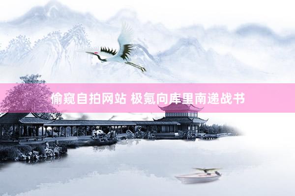 偷窥自拍网站 极氪向库里南递战书