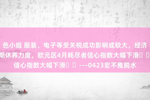色小姐 服装、电子等受关税成功影响或较大,经济开门红不会影响逆周期休养力度,欧元区4月耗尽者信心指数大幅下滑---0423宏不雅脱水
