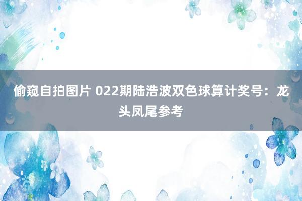 偷窥自拍图片 022期陆浩波双色球算计奖号：龙头凤尾参考