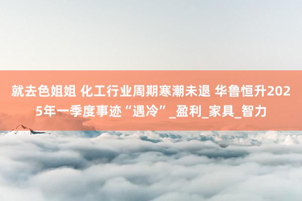 就去色姐姐 化工行业周期寒潮未退 华鲁恒升2025年一季度事迹“遇冷”_盈利_家具_智力